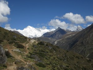 A fairly typical section of walking trail