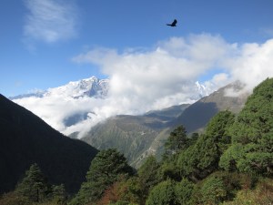 … and the view from said bakery.