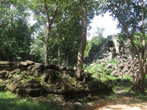 Trees and rubble at Beng Mealea