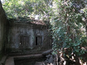 A quiet, lightly-vegetated corner