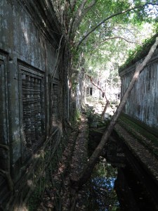 And this passageway just feels like it belongs in The Secret Garden