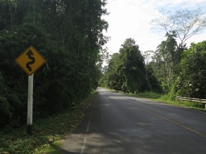 Greenery beside the roads around Chiang Mai