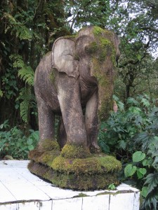 A moss-covered elephant statue forming part of the King Inthanon Memorial Shrine, at the summit of Doi Inthanon