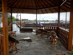 Sea lions happily occupying the park benches in the rotunda next to the pier