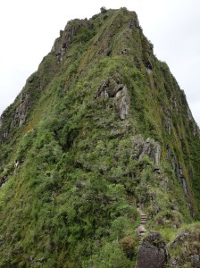 Huayna Picchu, seen from the bottom, after the climb