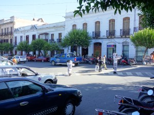 Zebras at the zebra crossing