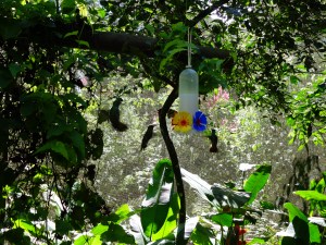 Hummingbirds in the Bird Park, feeding out of an artificial feeder